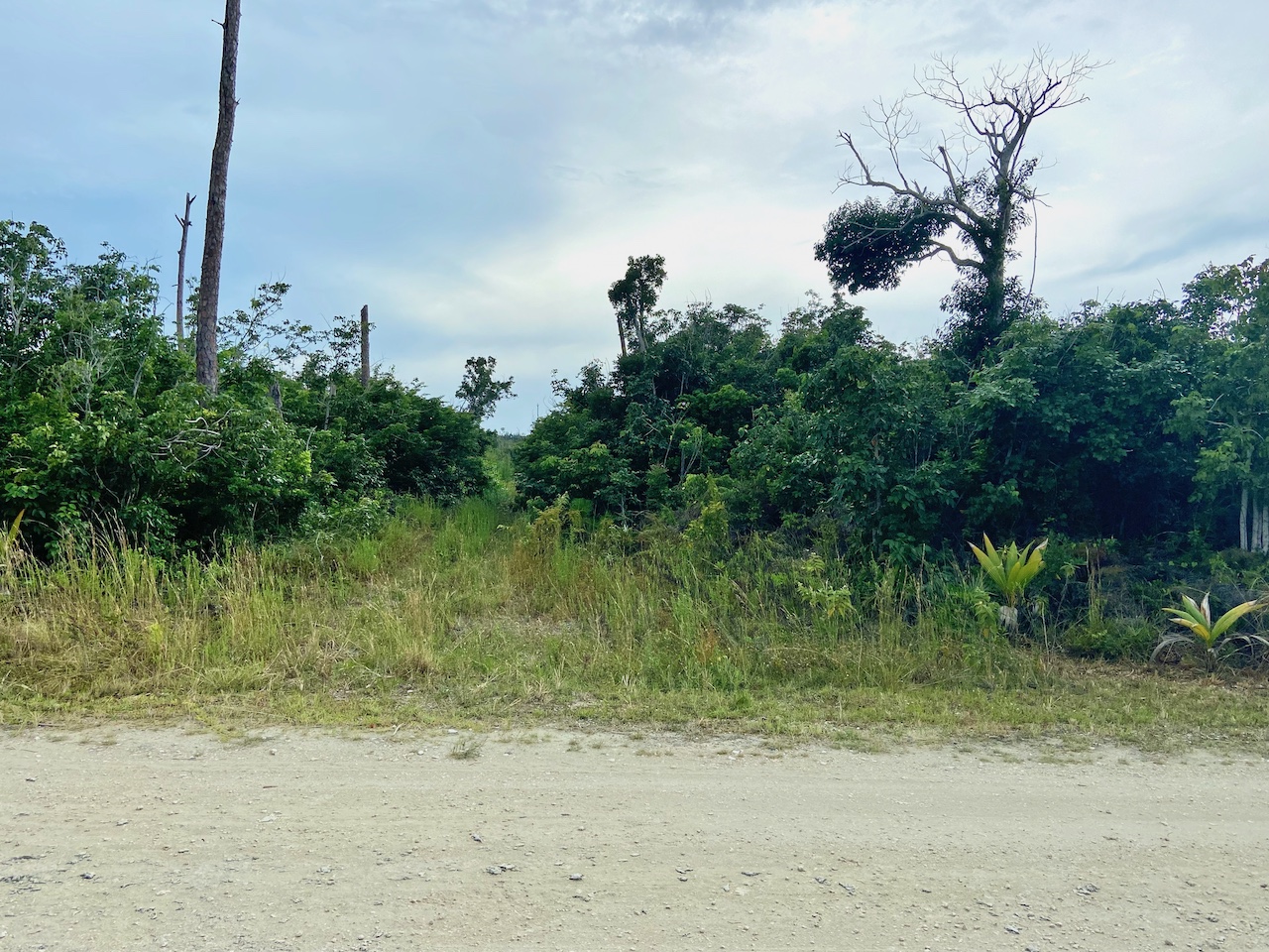 /listing-pending-abaco-vacant-lot-for-sale-41412.html from Coldwell Banker Bahamas Real Estate