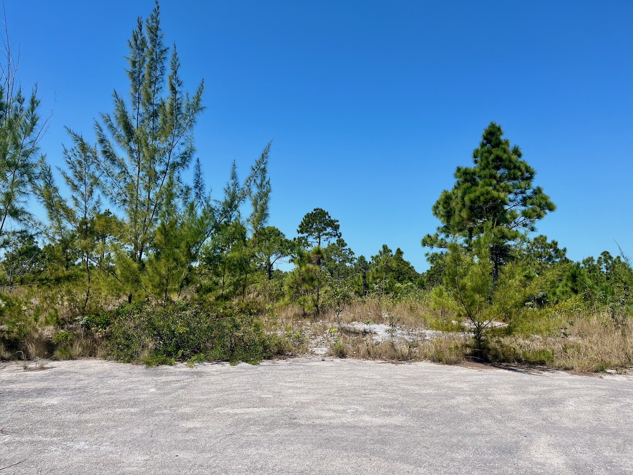 /listing-pending-abaco-vacant-lot-for-sale-41413.html from Coldwell Banker Bahamas Real Estate
