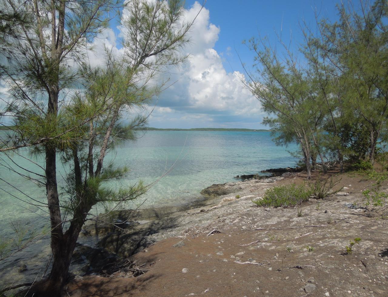 /listing-north-eleuthera-waterfront-lot-41566.html from Coldwell Banker Bahamas Real Estate