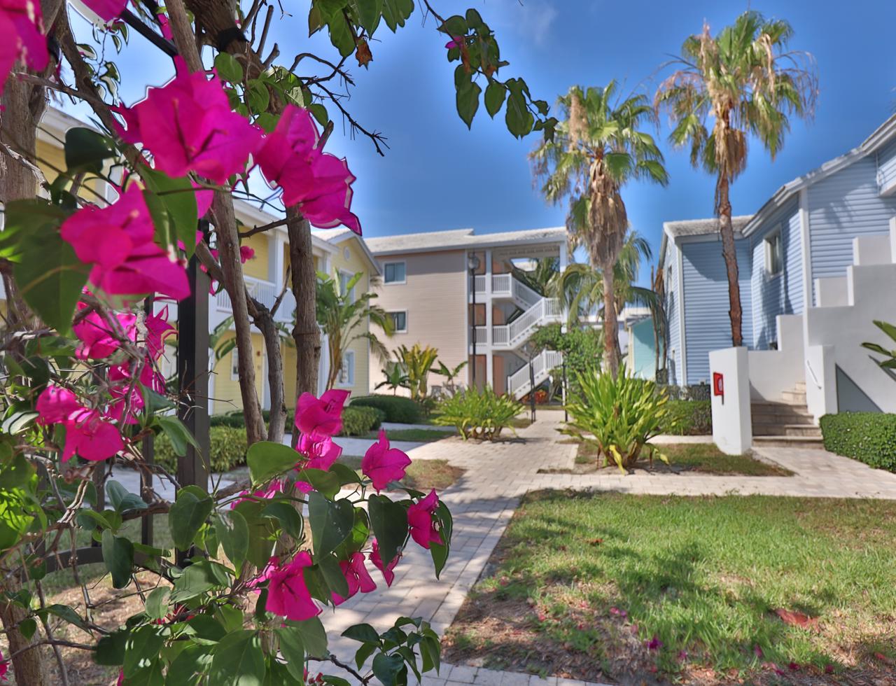 /listing-pending-bimini-condo-for-sale-41706.html from Coldwell Banker Bahamas Real Estate