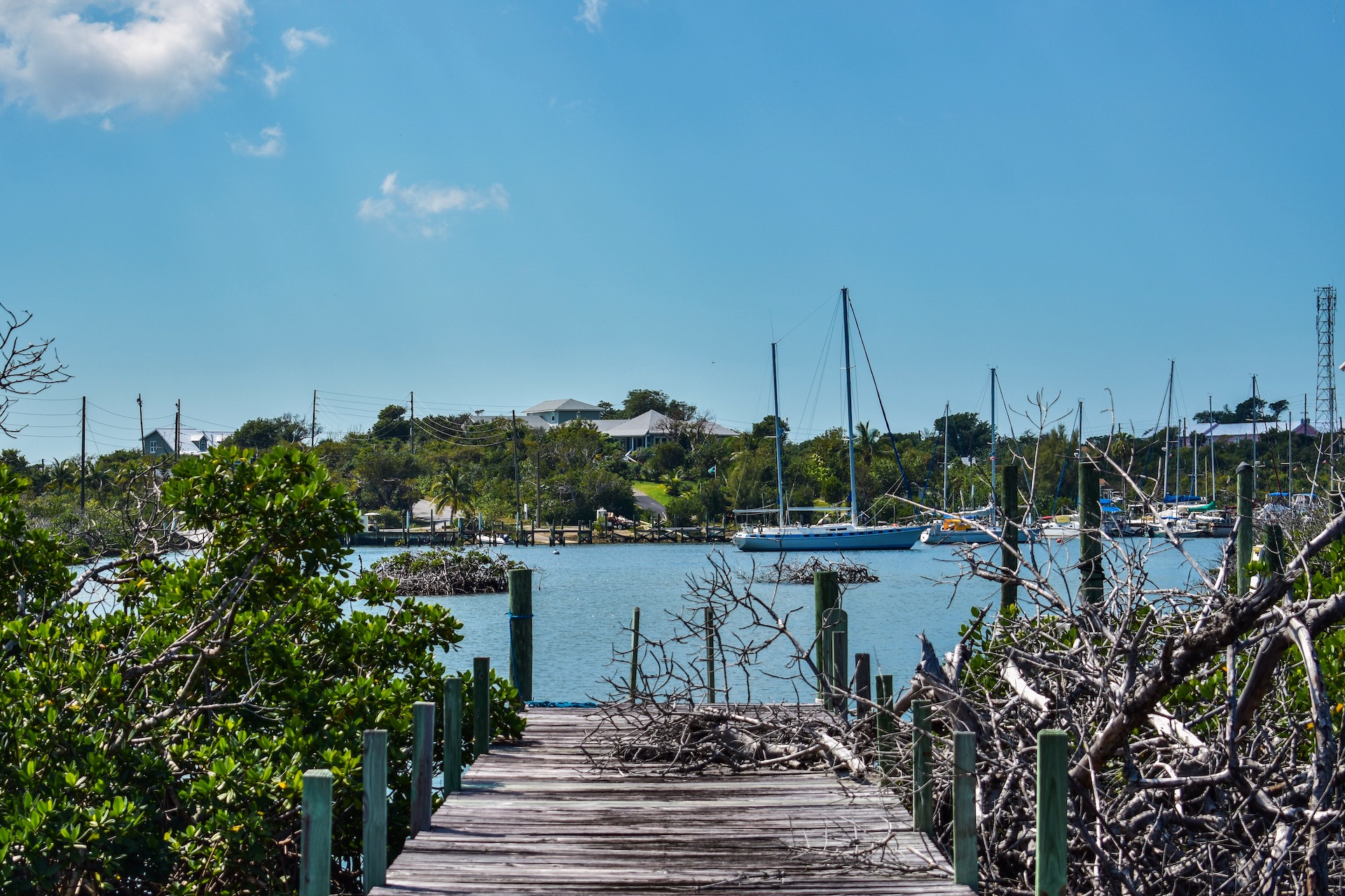 beachfront-acreage-with-dock-black-sound-green-turtle-cay-abaco-23