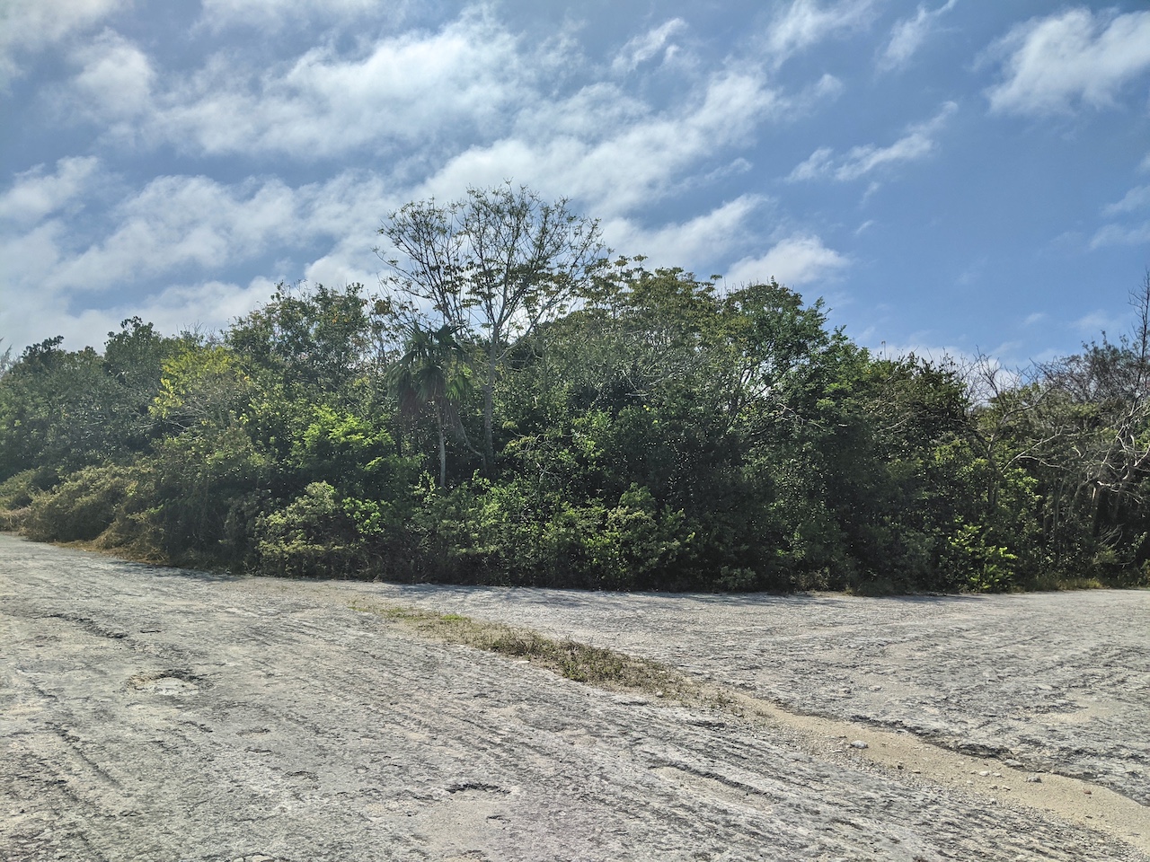 /listing-abaco-vacant-lot-for-sale-42518.html from Coldwell Banker Bahamas Real Estate