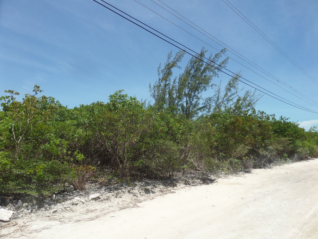 /listing-lot-in-pinders-42829.html from Coldwell Banker Bahamas Real Estate