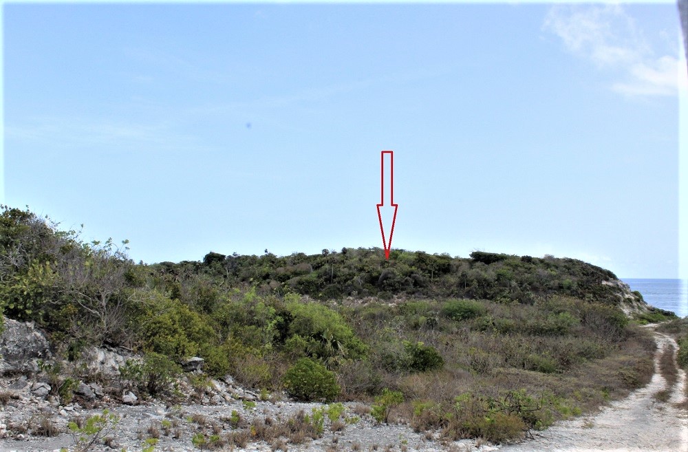 /listing-long-island-beach-front-lot-42903.html from Coldwell Banker Bahamas Real Estate