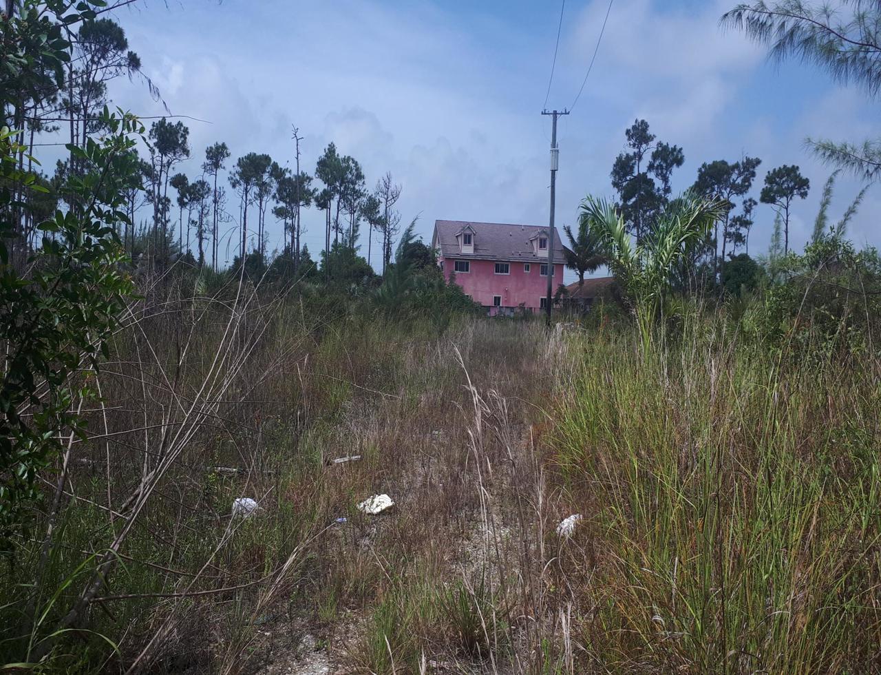 Bahamas Real Estate on Nassau / New Providence For Sale ID 43252