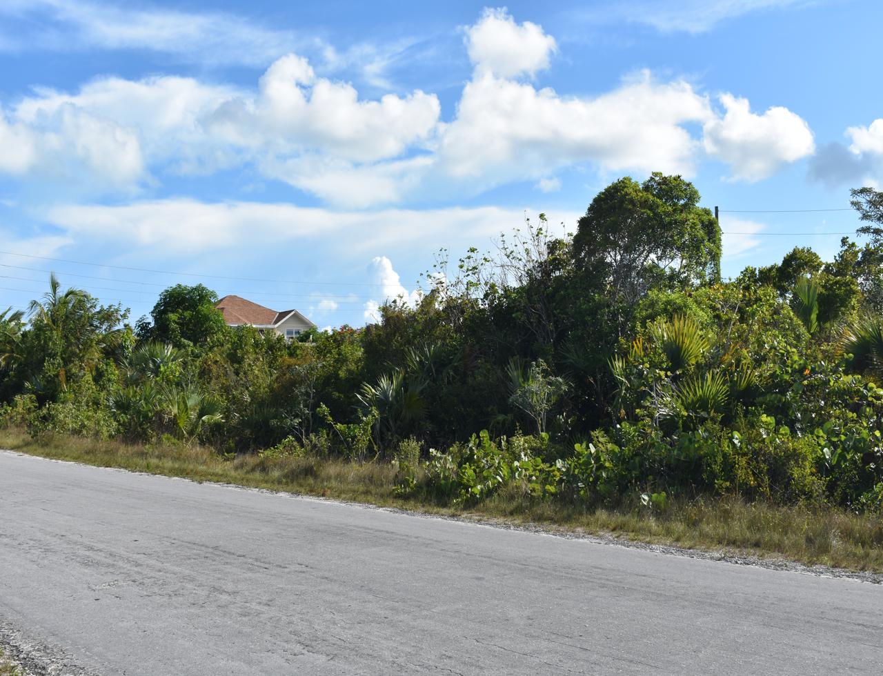 /listing-eleuthera-vacant-lot-for-sale-43647.html from Coldwell Banker Bahamas Real Estate