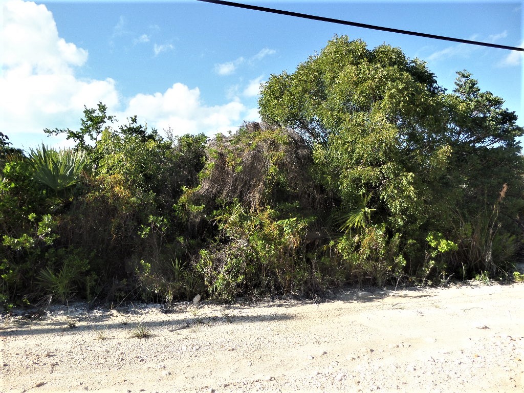 /listing-wemyss-lot-43893.html from Coldwell Banker Bahamas Real Estate