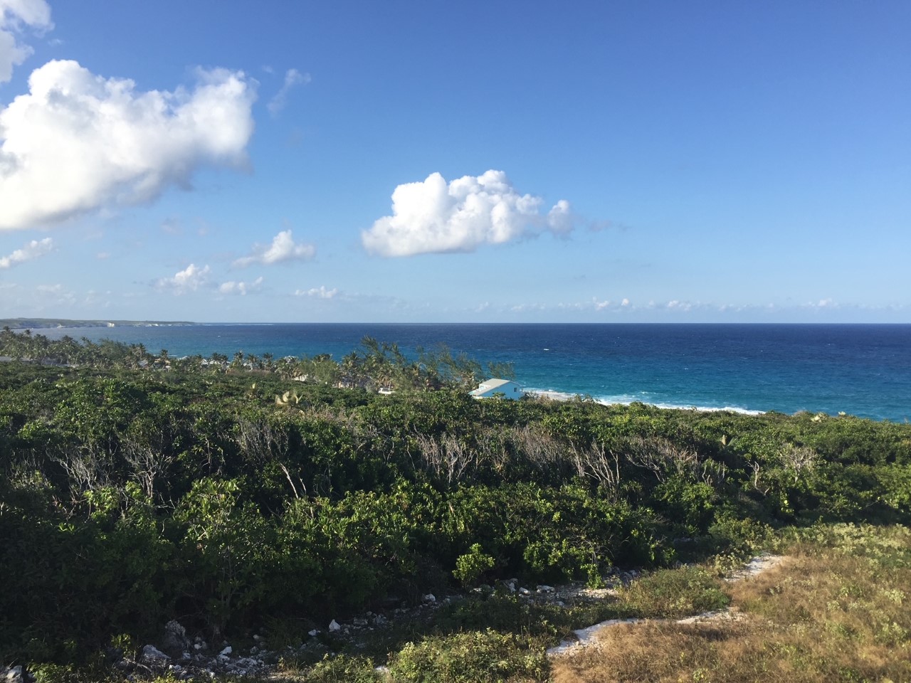 /listing-stella-maris-lot-for-sale-43937.html from Coldwell Banker Bahamas Real Estate