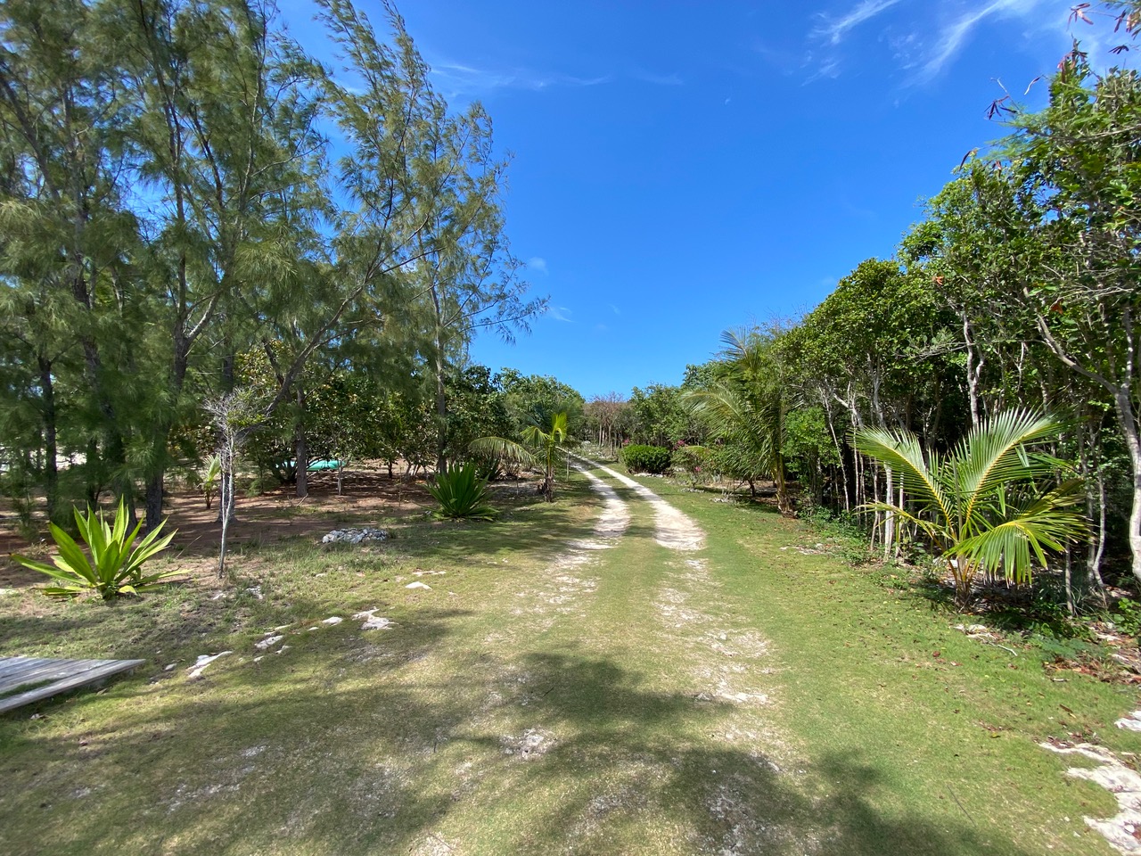 Eleuthera Water Front Home