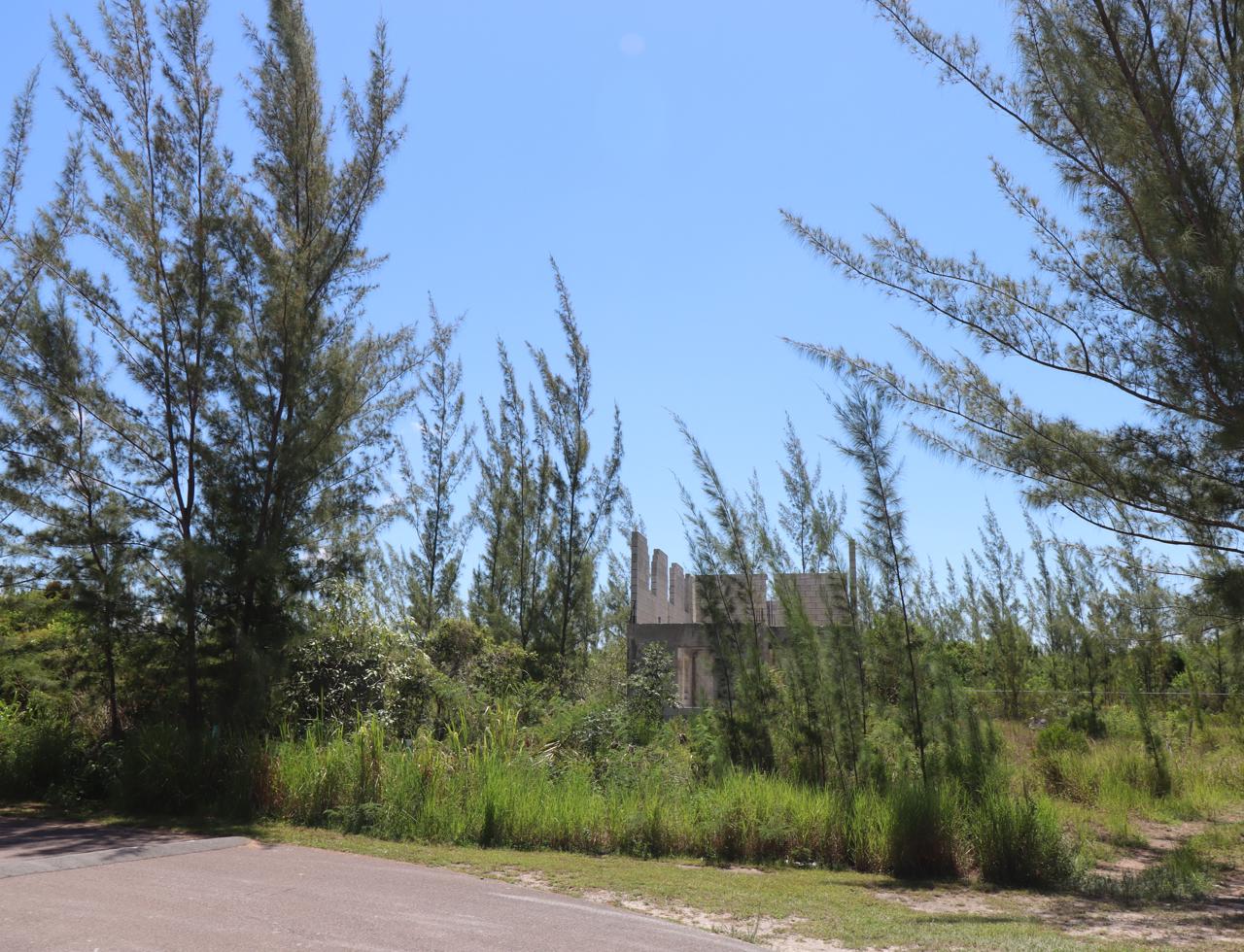 /listing-west-winds-multi-family-investment-44396.html from Coldwell Banker Bahamas Real Estate