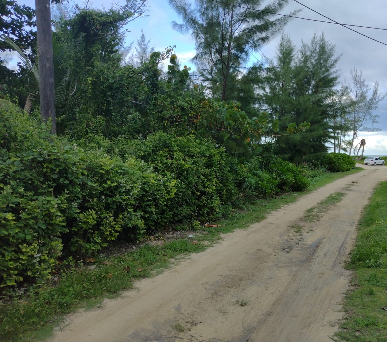 /listing-andros-lot-for-sale-44812.html from Coldwell Banker Bahamas Real Estate