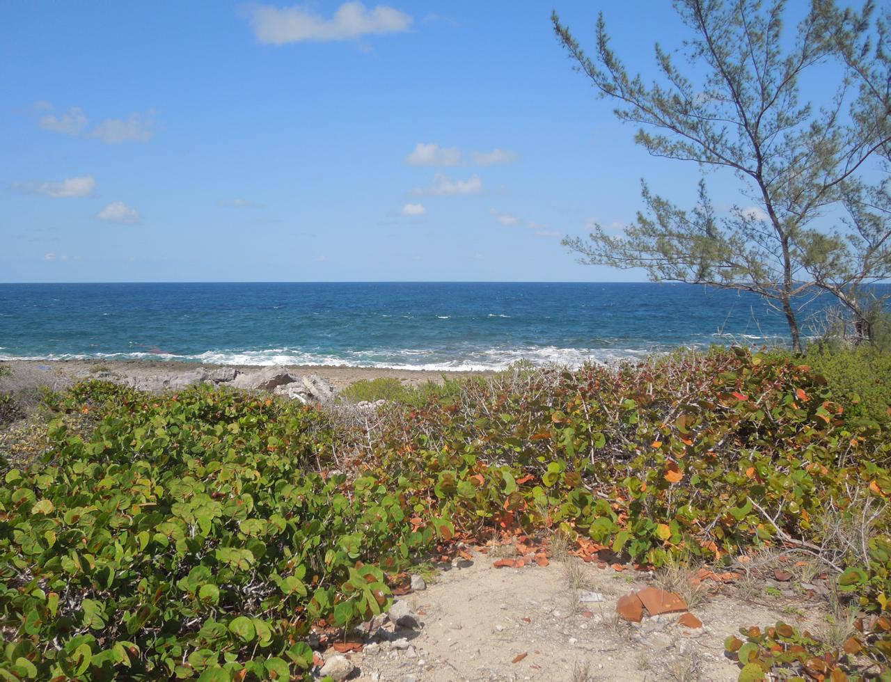 /listing-eleuthera-waterfront-lot-for-sale-44999.html from Coldwell Banker Bahamas Real Estate
