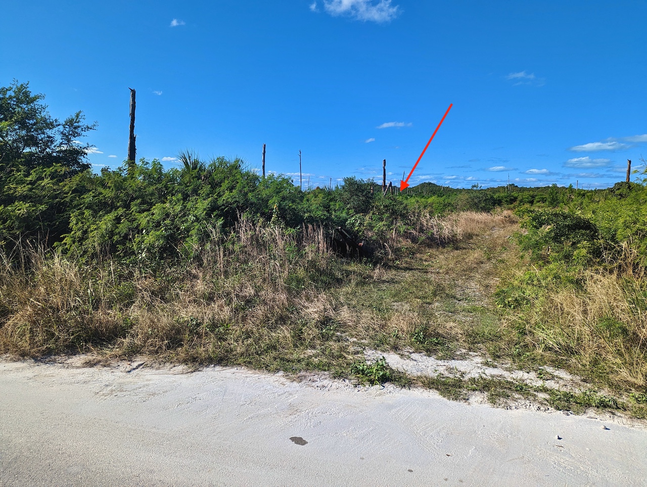 /listing-pending-abaco-vacant-lot-for-sale-45320.html from Coldwell Banker Bahamas Real Estate