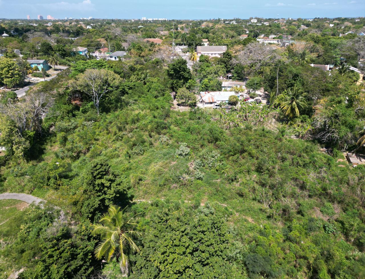 /listing-nassau-acreage-for-sale-45999.html from Coldwell Banker Bahamas Real Estate