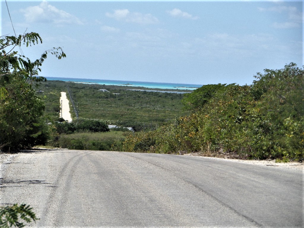 /listing-elevated-lot-in-hamiltons-long-island-46063.html from Coldwell Banker Bahamas Real Estate