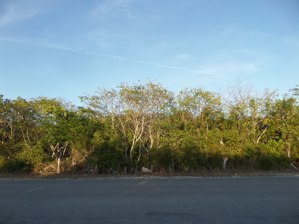 /listing-long-island-lot-for-sale-46102.html from Coldwell Banker Bahamas Real Estate