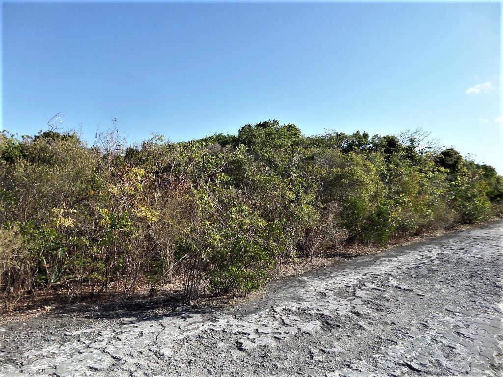 /listing-long-island-vacant-lot-for-sale-46172.html from Coldwell Banker Bahamas Real Estate