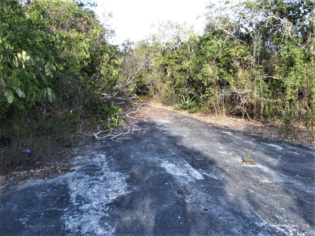 /listing-stella-maris-lot-46370.html from Coldwell Banker Bahamas Real Estate