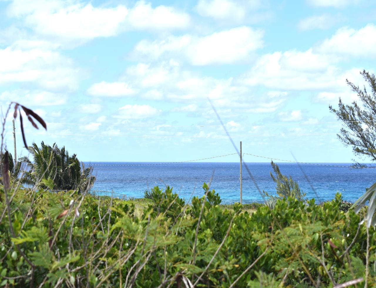 /listing-north-eleuthera-lot-for-sale-46441.html from Coldwell Banker Bahamas Real Estate