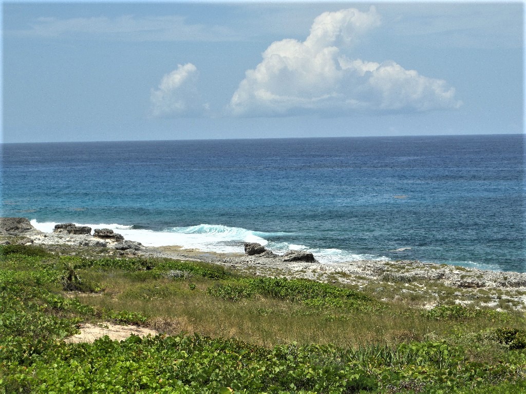 /listing-long-island-oceanfront-acreage-46576.html from Coldwell Banker Bahamas Real Estate