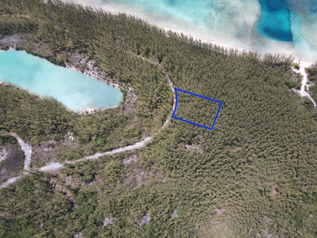 /listing-pending-eleuthera-vacant-lot-for-sale-46859.html from Coldwell Banker Bahamas Real Estate