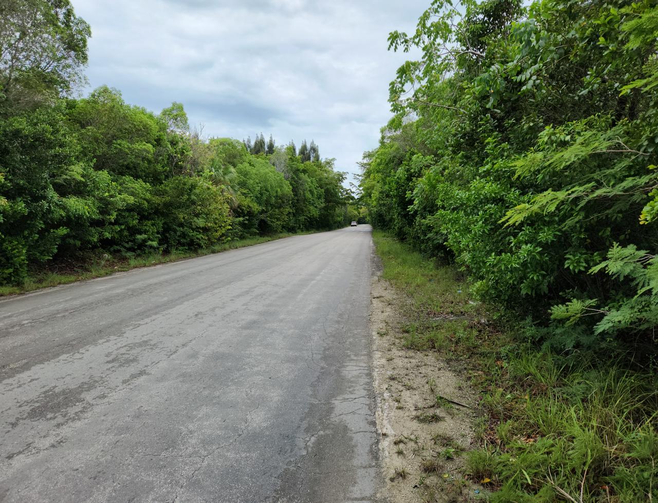 /listing-acreage-in-eleuthera-for-sale-47005.html from Coldwell Banker Bahamas Real Estate