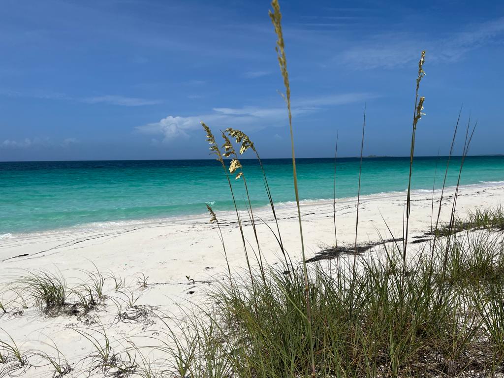 /listing-berry-islands-beach-front-lot-47253.html from Coldwell Banker Bahamas Real Estate