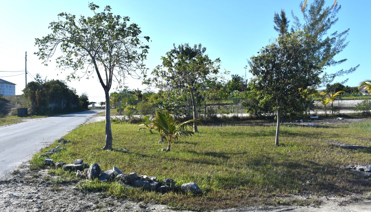 /listing-north-eleuthera-lot-for-sale-47409.html from Coldwell Banker Bahamas Real Estate