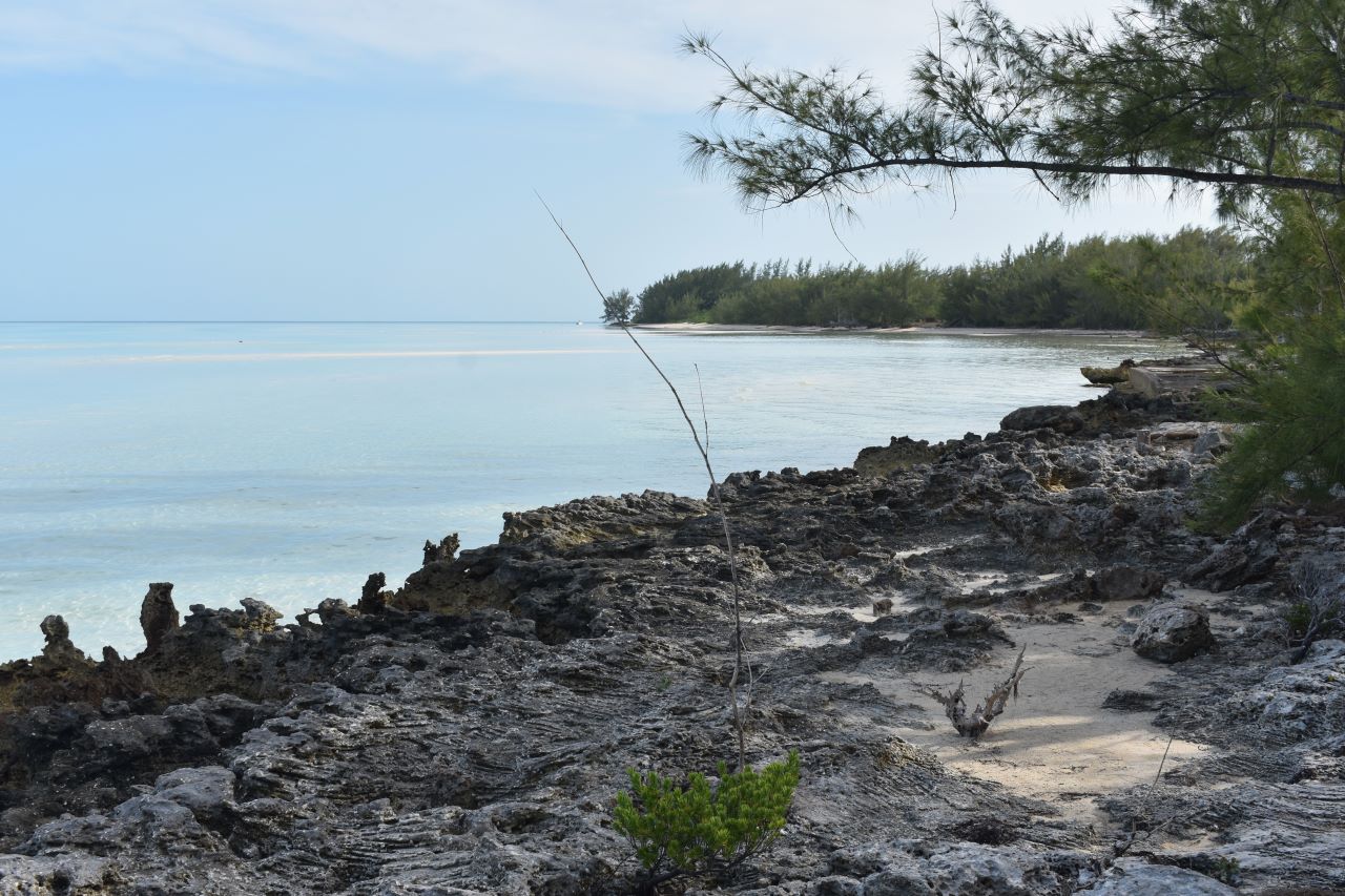 /listing-waterfront-lot-on-north-eleuthera-47623.html from Coldwell Banker Bahamas Real Estate