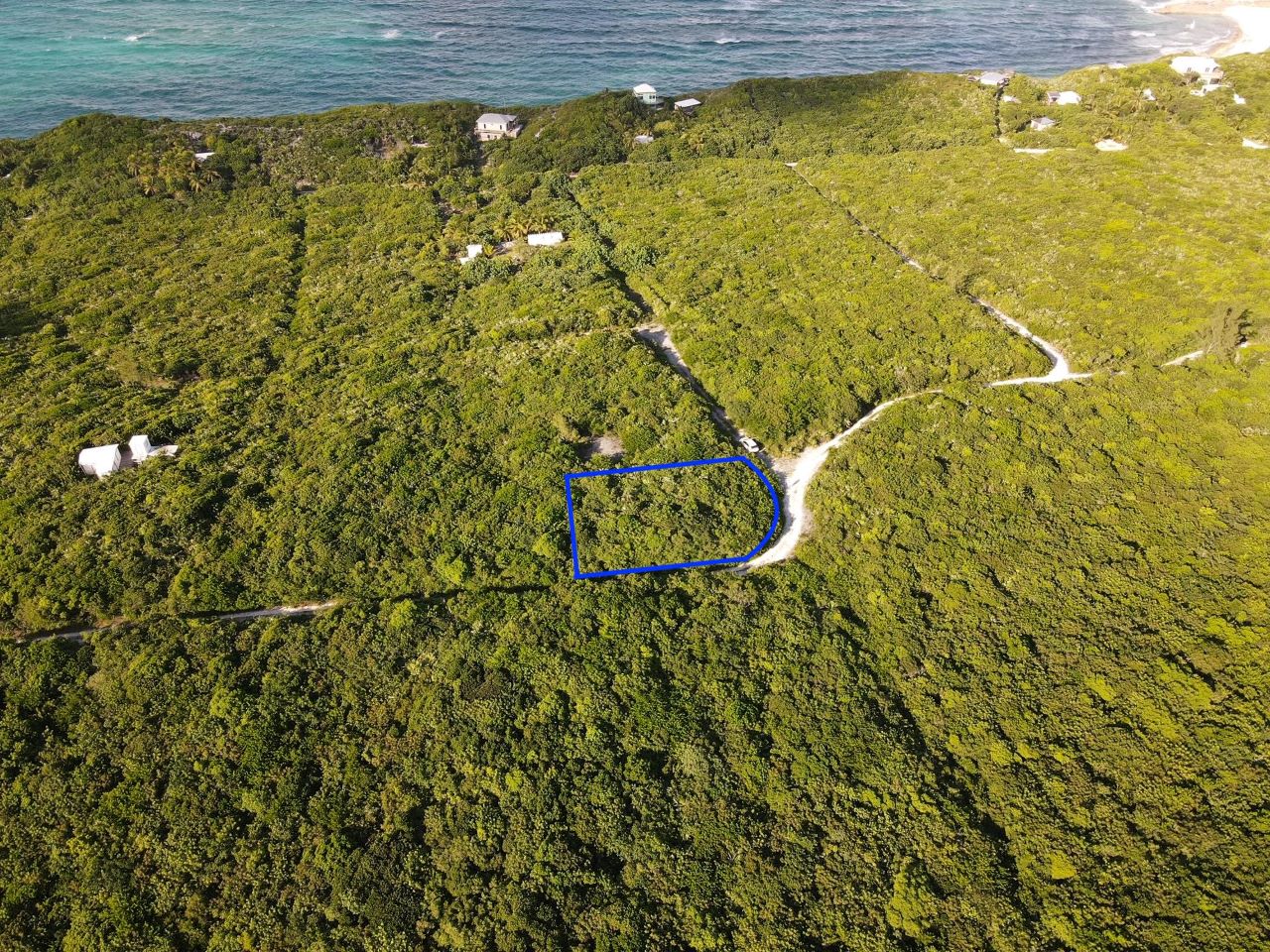 /listing-eleuthera-ocean-view-lot-47890.html from Coldwell Banker Bahamas Real Estate