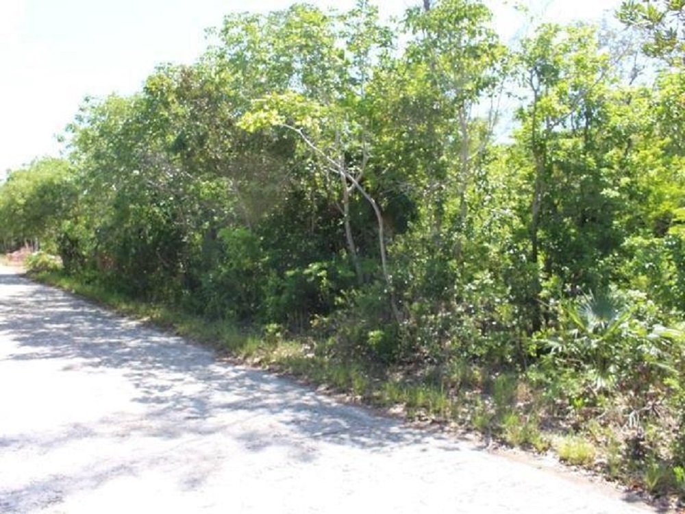 Bahama Palm Shores Lot