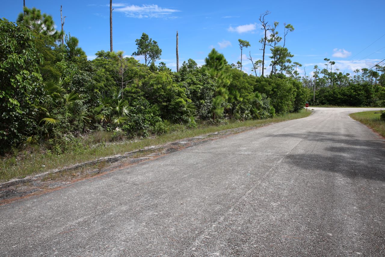/listing-grand-bahama-multi-family-lot-47944.html from Coldwell Banker Bahamas Real Estate