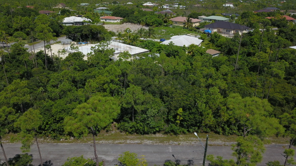/listing-freeport-multi-family-lot-for-sale-47945.html from Coldwell Banker Bahamas Real Estate