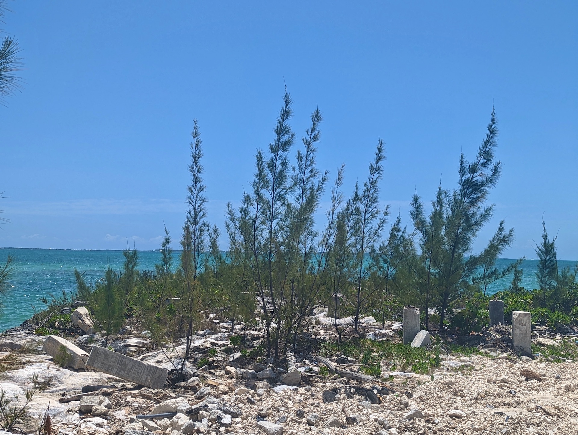 /listing-pending-abaco-waterfront-vacant-land-for-sale-47947.html from Coldwell Banker Bahamas Real Estate