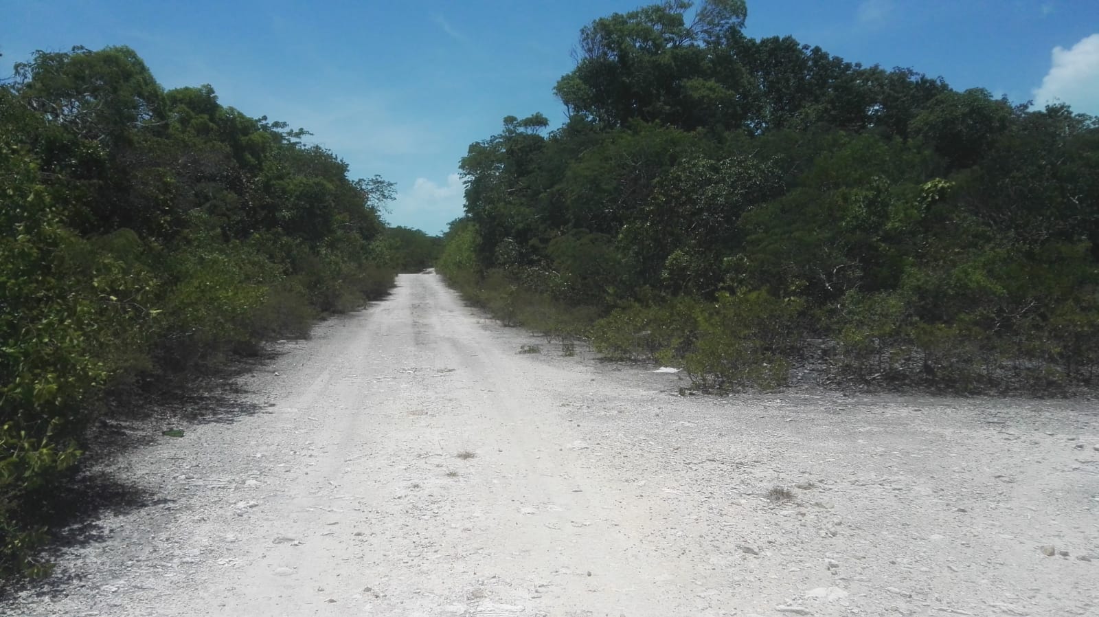 Exuma vacant lot