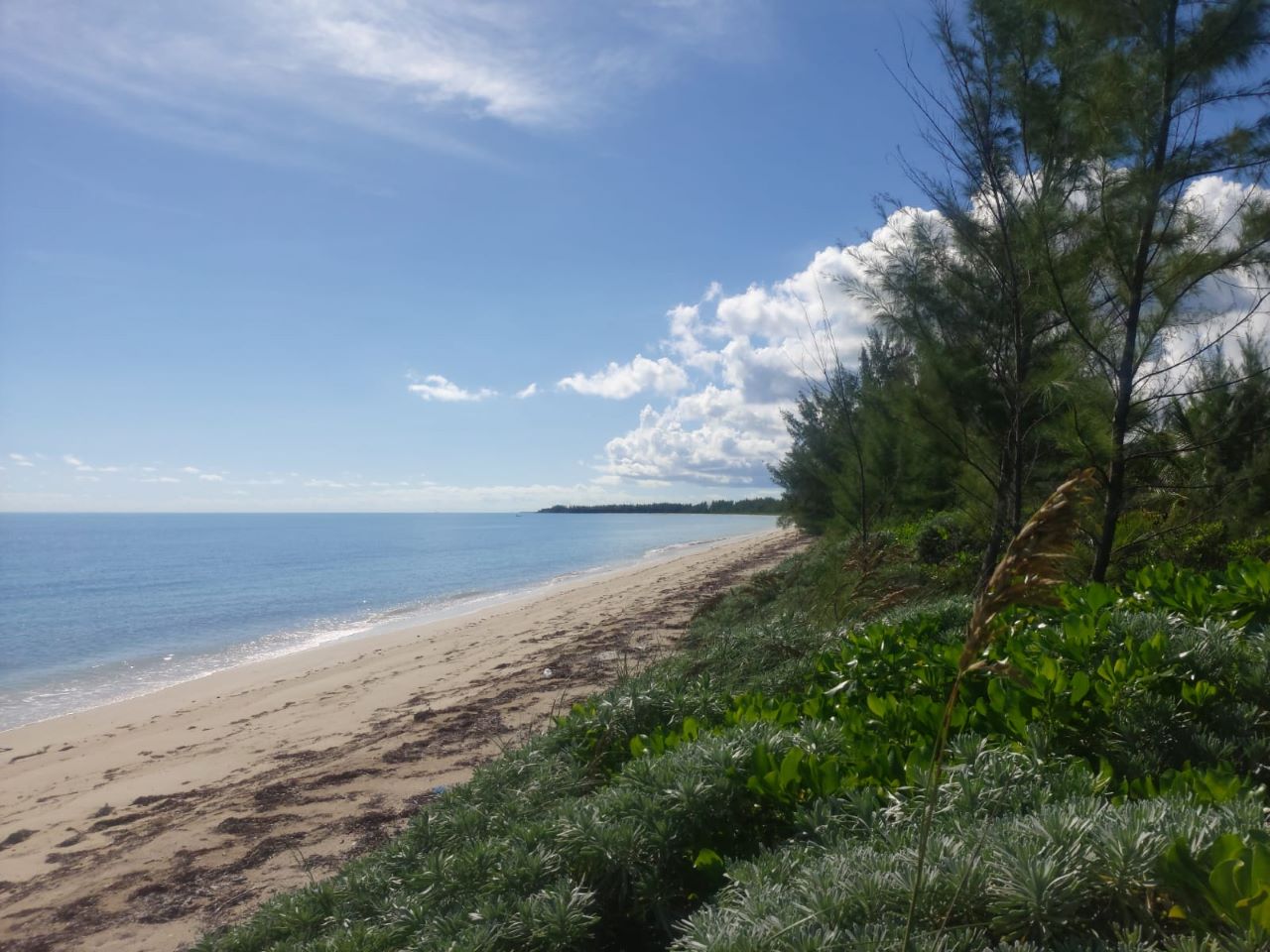/listing-andros-beach-front-acreage-48446.html from Coldwell Banker Bahamas Real Estate