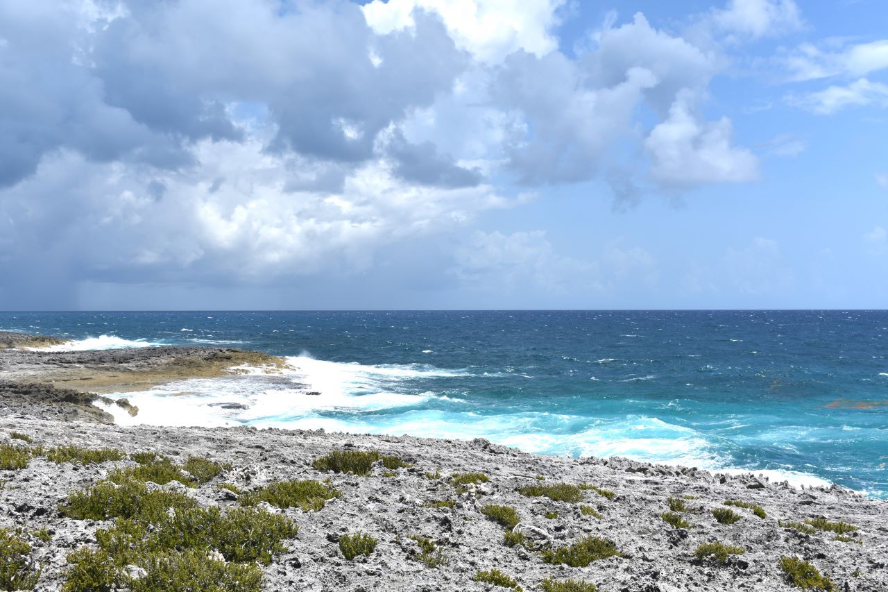 /listing-eleuthera-waterfront-lot-48548.html from Coldwell Banker Bahamas Real Estate