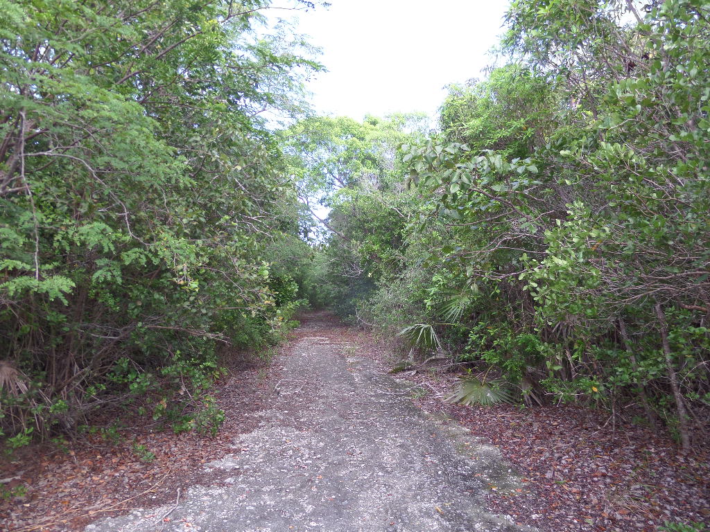 /listing-long-island-lots-for-sale-48684.html from Coldwell Banker Bahamas Real Estate