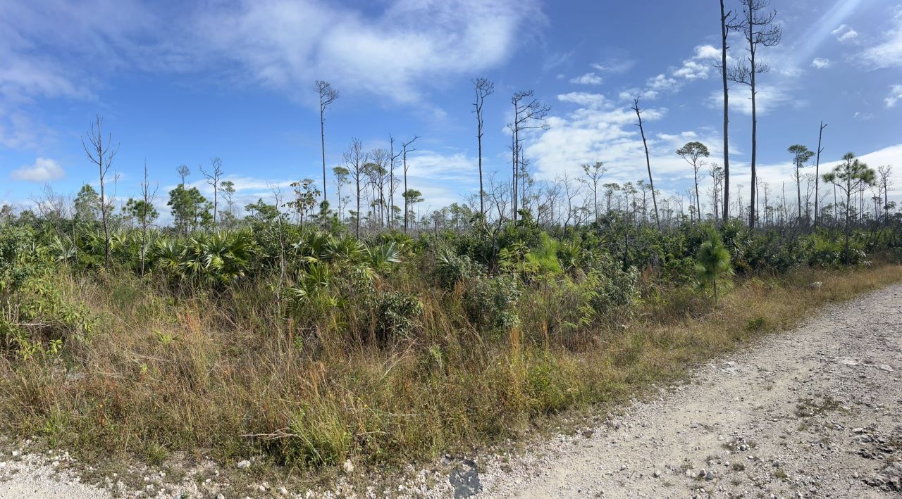 /listing-freeport-vacant-lot-for-sale-49150.html from Coldwell Banker Bahamas Real Estate