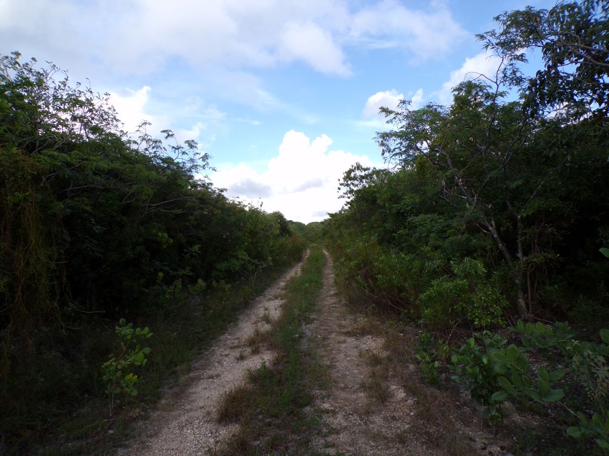 /listing-long-island-vacant-lot-for-sale-52976.html from Coldwell Banker Bahamas Real Estate