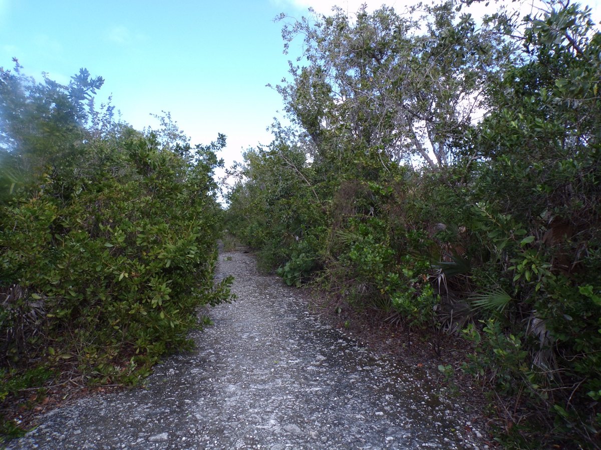 /listing-stella-maris-lot-56842.html from Coldwell Banker Bahamas Real Estate