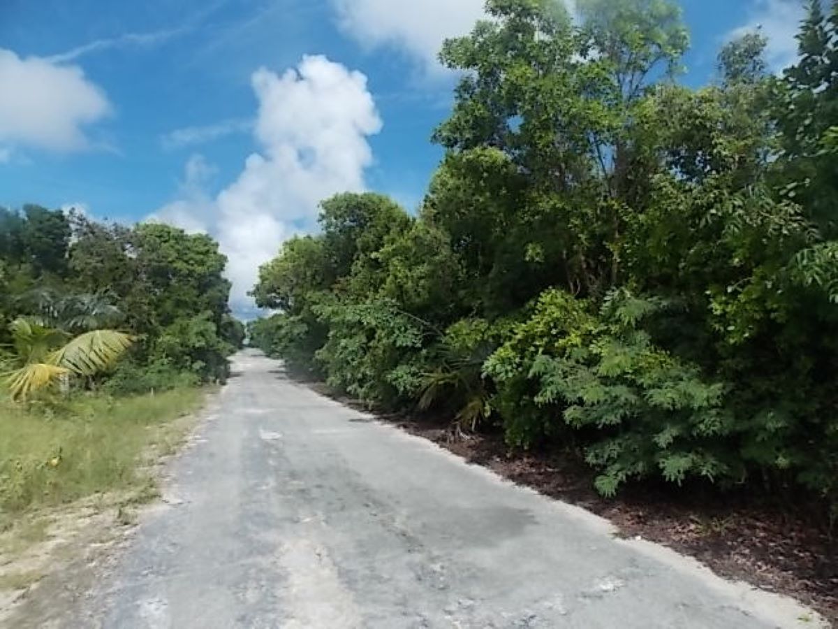 /listing-stella-maris-lot-59571.html from Coldwell Banker Bahamas Real Estate