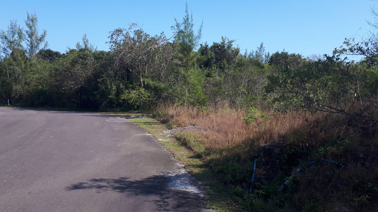 /listing-pending-nassau-single-family-lot-for-sale-60372.html from Coldwell Banker Bahamas Real Estate