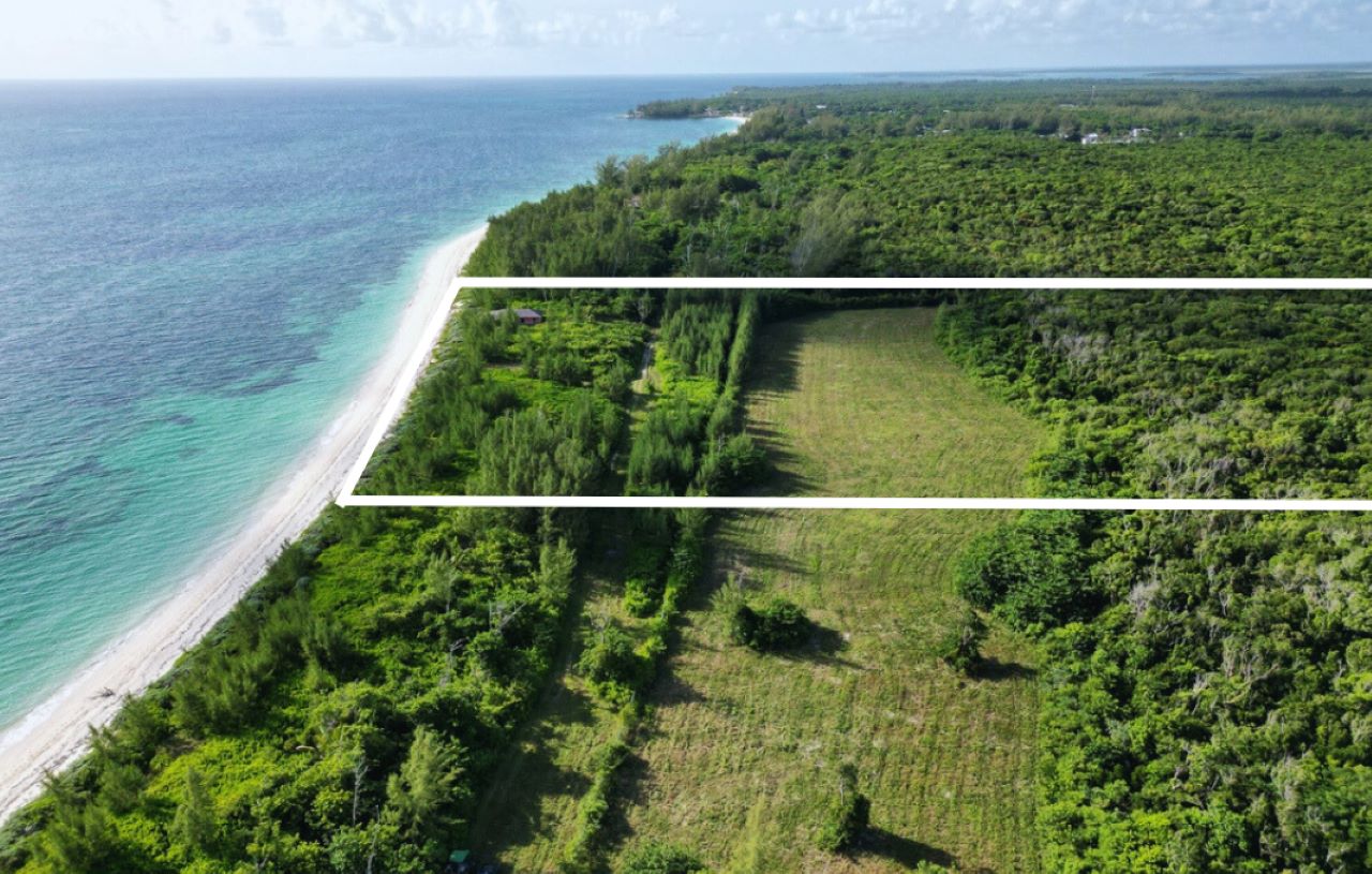 /listing-north-andros-beach-front-acreage-68373.html from Coldwell Banker Bahamas Real Estate