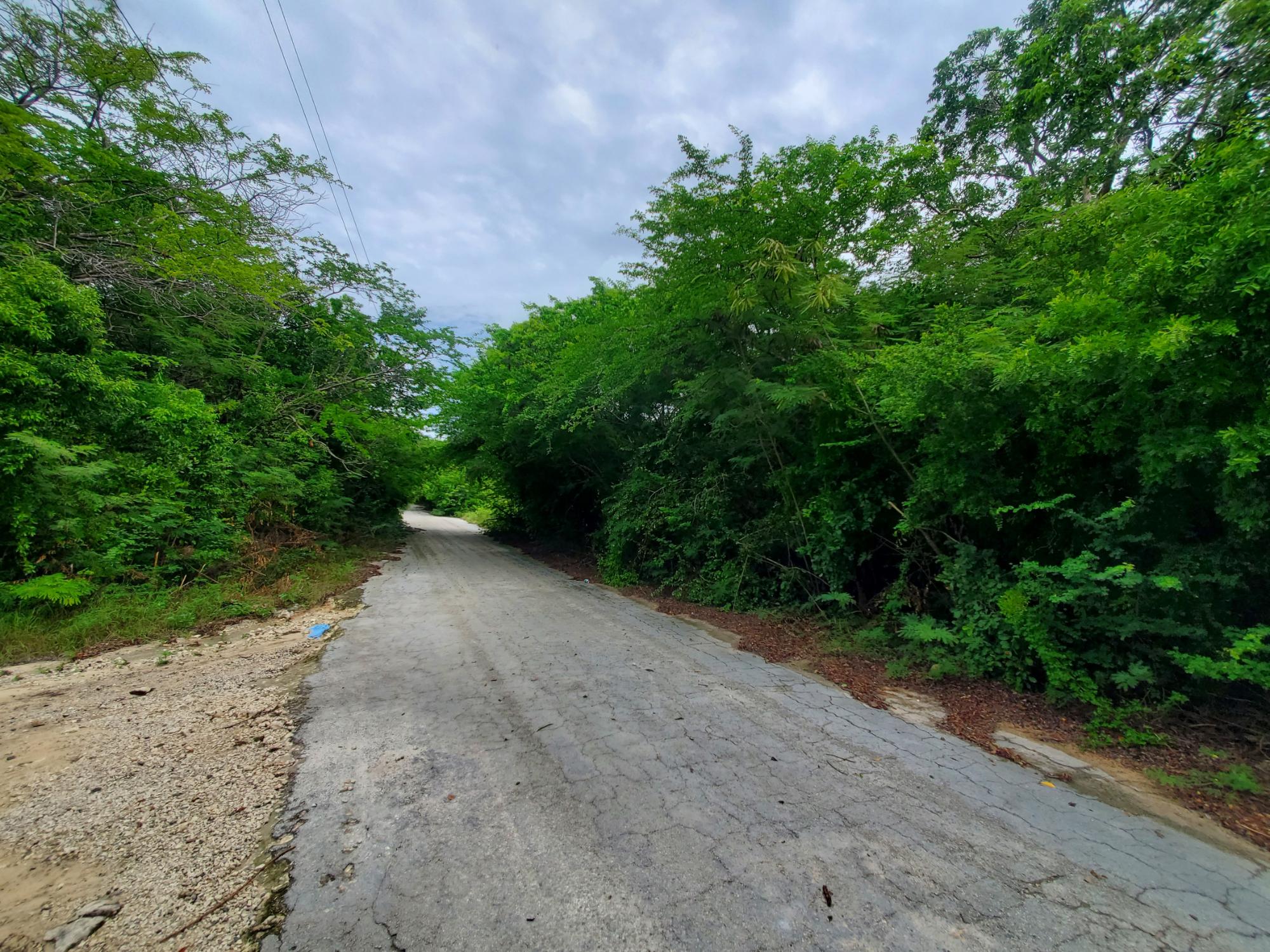 /listing-pending-exuma-vacant-lot-for-sale-72139.html from Coldwell Banker Bahamas Real Estate