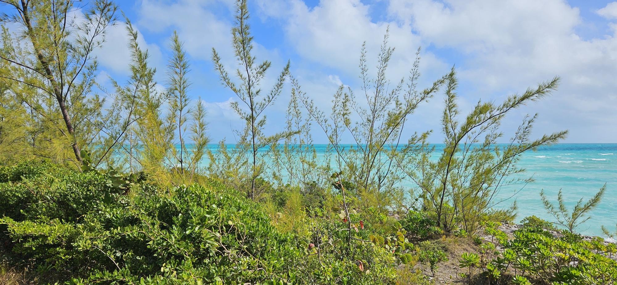 /listing-north-eleuthera-lot-for-sale-73993.html from Coldwell Banker Bahamas Real Estate