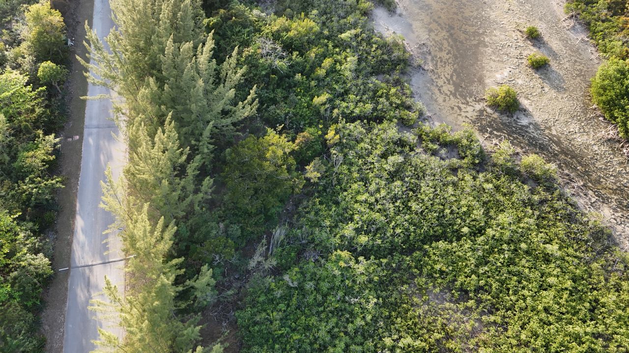 /listing-nassau-multi-family-vacant-lot-75806.html from Coldwell Banker Bahamas Real Estate
