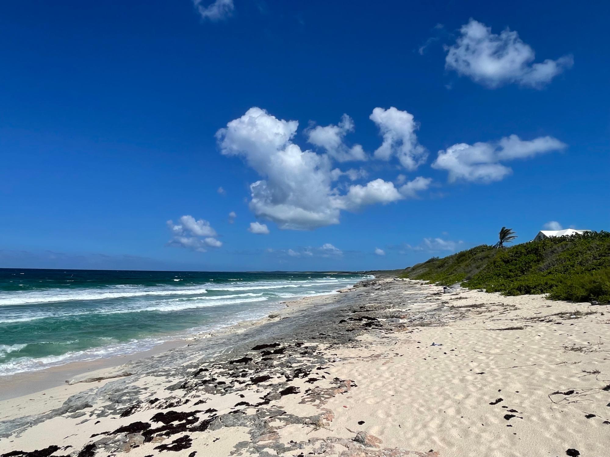 /listing-eleuthera-ocean-view-lot-for-sale-76388.html from Coldwell Banker Bahamas Real Estate