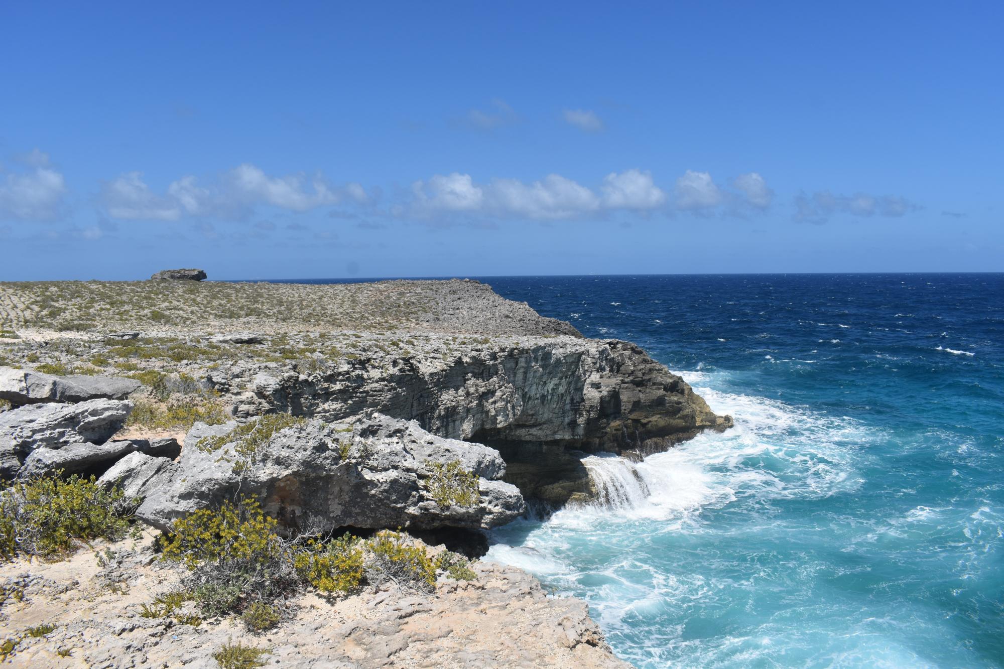 /listing-eleuthera-oceanfront-lot-76558.html from Coldwell Banker Bahamas Real Estate