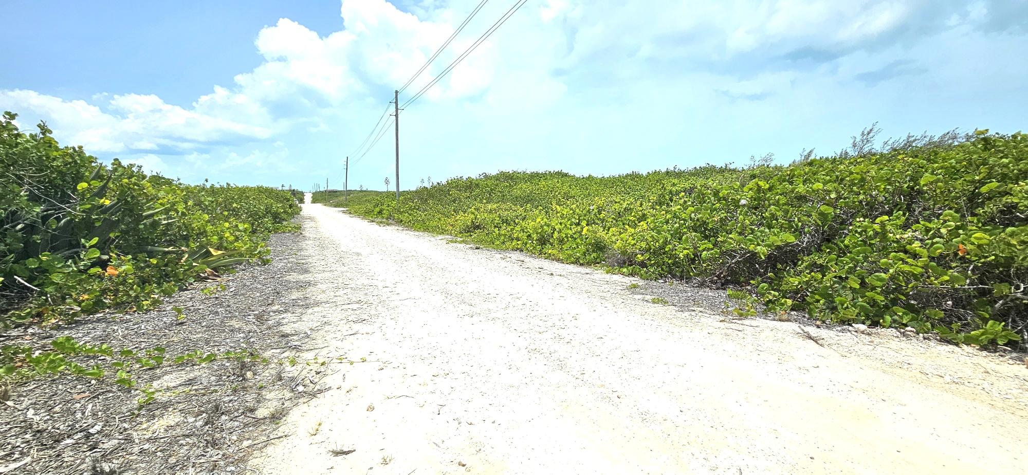 /listing-north-eleuthera-lot-for-sale-76696.html from Coldwell Banker Bahamas Real Estate